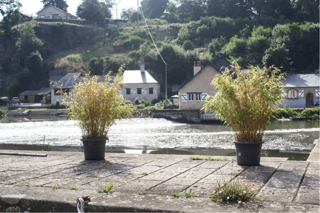 Plants put this village in the right light