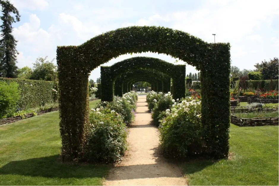 Boxwood arches in the medieval garden at Château-Gontier on the Mayenne in France