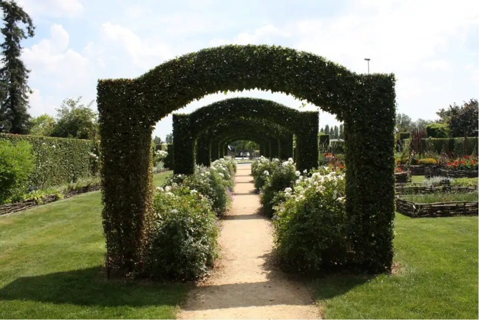 Buchsbaumbögen im Mittelaltergarten in Château-Gontier an der Mayenne in Frankreich