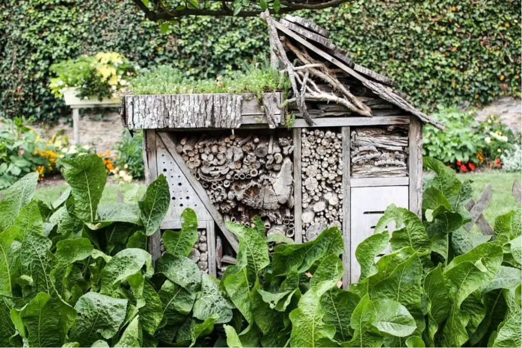 Das Insektenhaus im Jardin des Senteurs