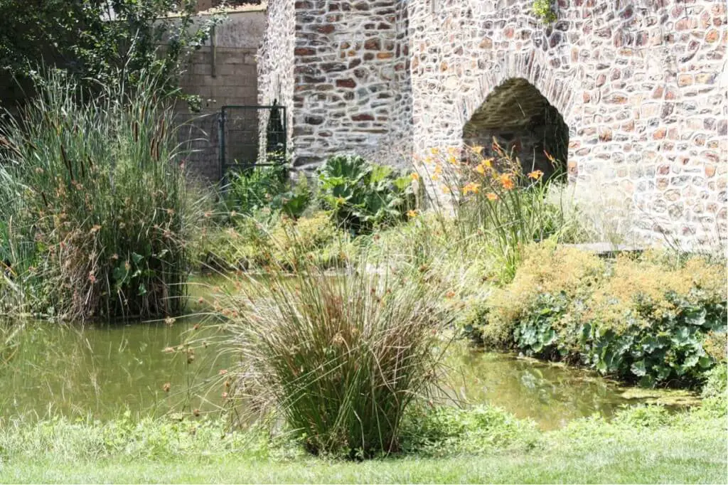 Pond in the middle ages garden