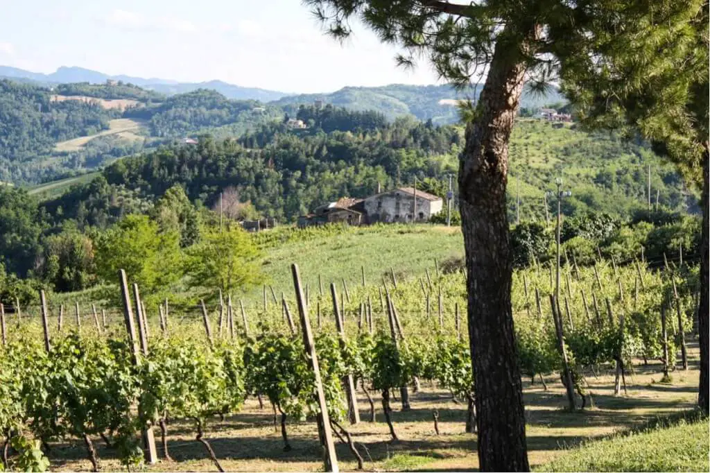 Tenuta Neri