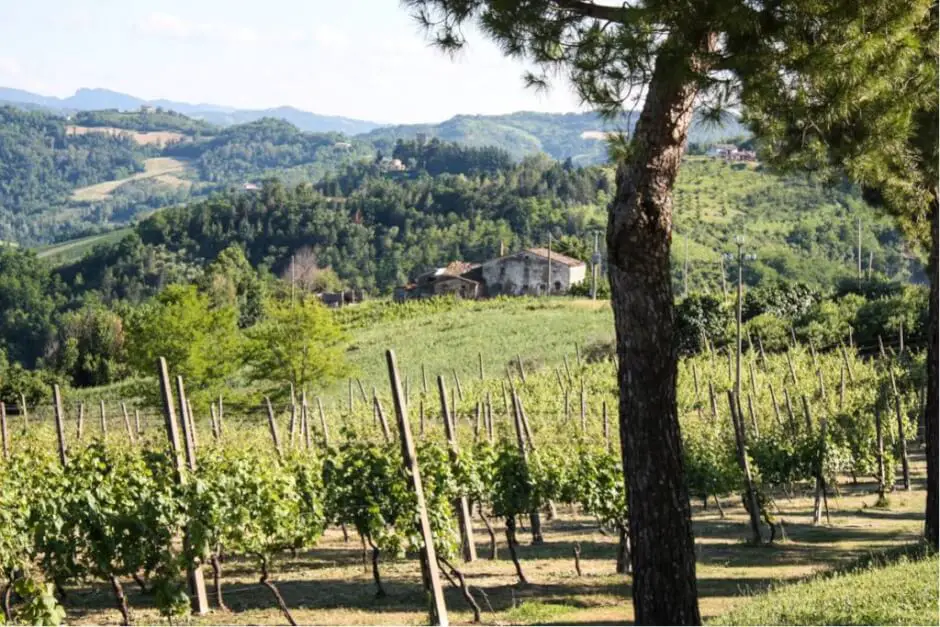 Tenuta Neri - Weingut Emilia Romagna