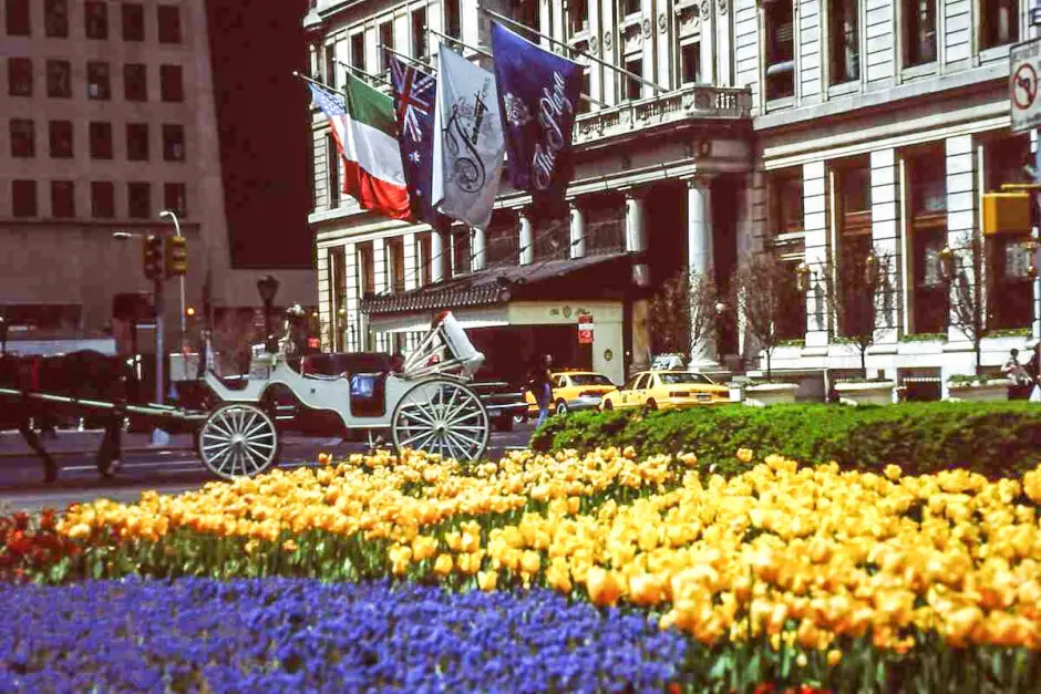 Spring in front of the Plaza Hotel in New York