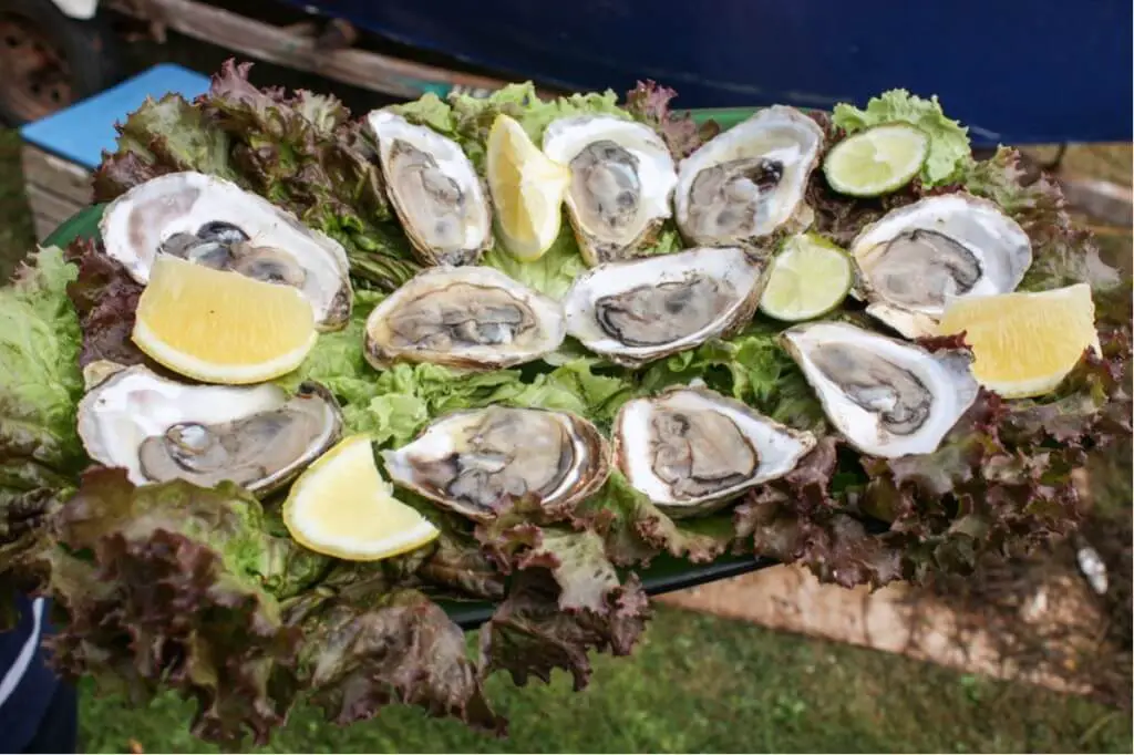 Fresh oyster shells with lemon