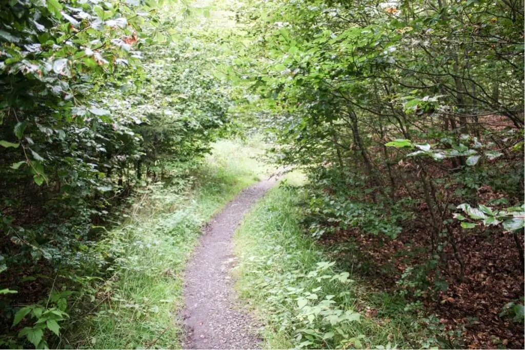 Kellerwald-Edersee National Park - UNESCO World Heritage Sites in Kassel