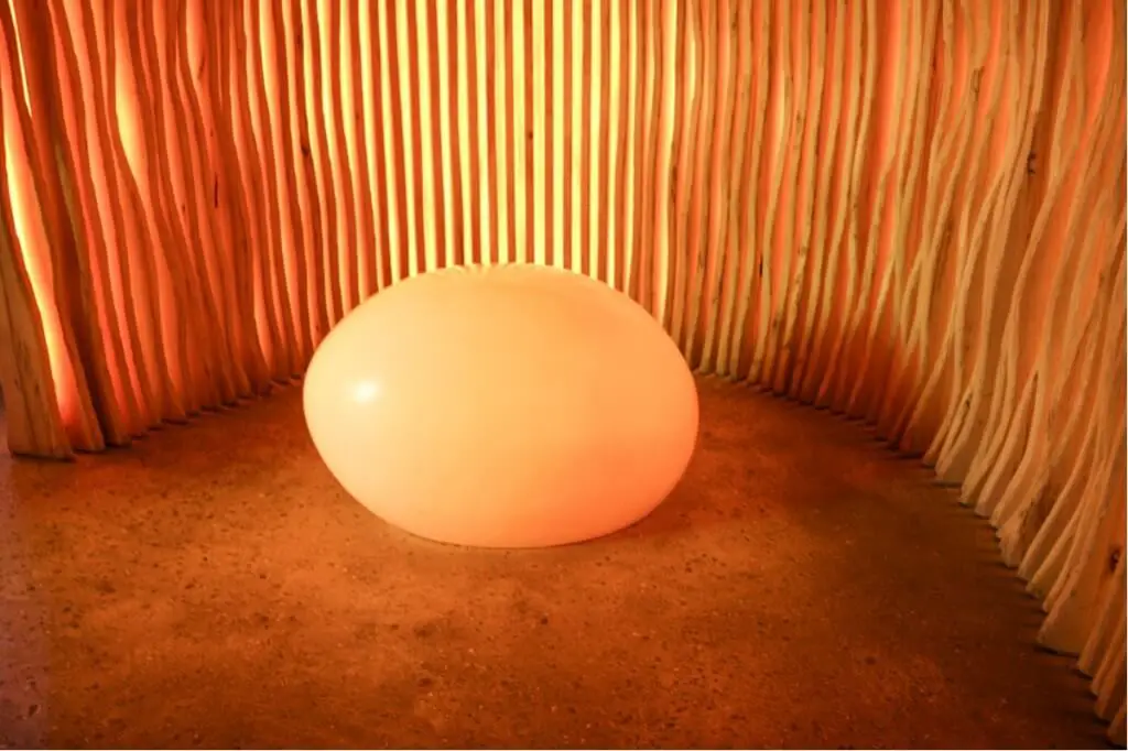 Woodpecker egg in the visitor center in the Kellerwald Edersee National Park