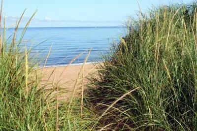 Sandstrand bei Inverness am Ceilidh Trail in Cape Breton Island Roadtrip Kanada