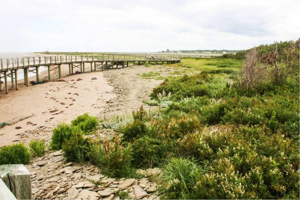 The boardwalk from the Interpretive Center