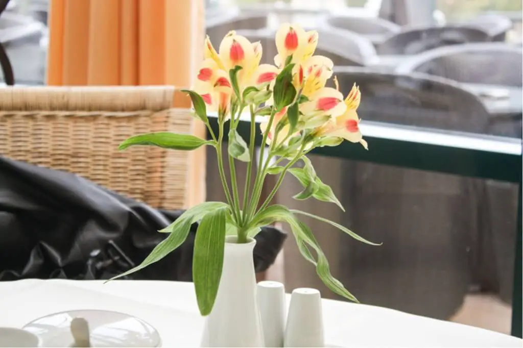 Frische Blumen auf dem Kaffeetisch