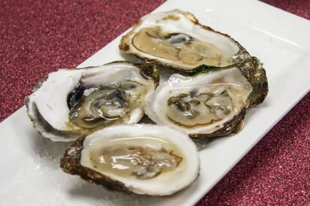 Fresh oysters in Lobster Pond in Charlottetown potatoes and crustaceans