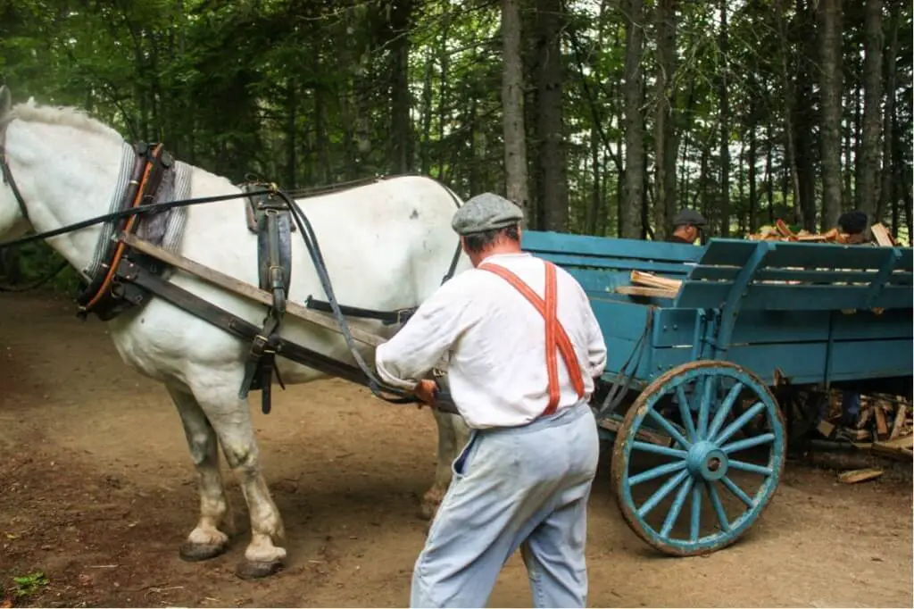 Here wood is delivered by horse-drawn carriage