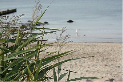 Zauber der Ostsee