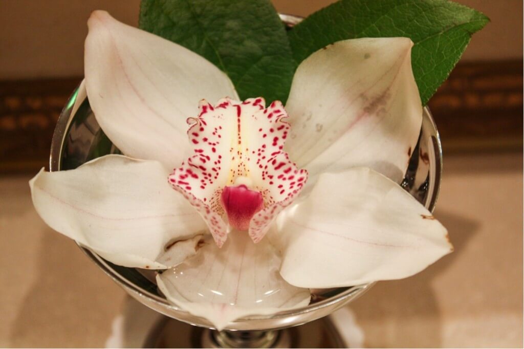 A fresh orchid in the bath