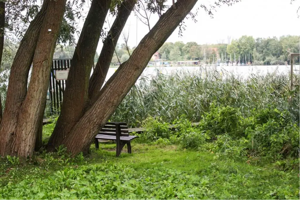 Wild-romantic view of Lake Templin