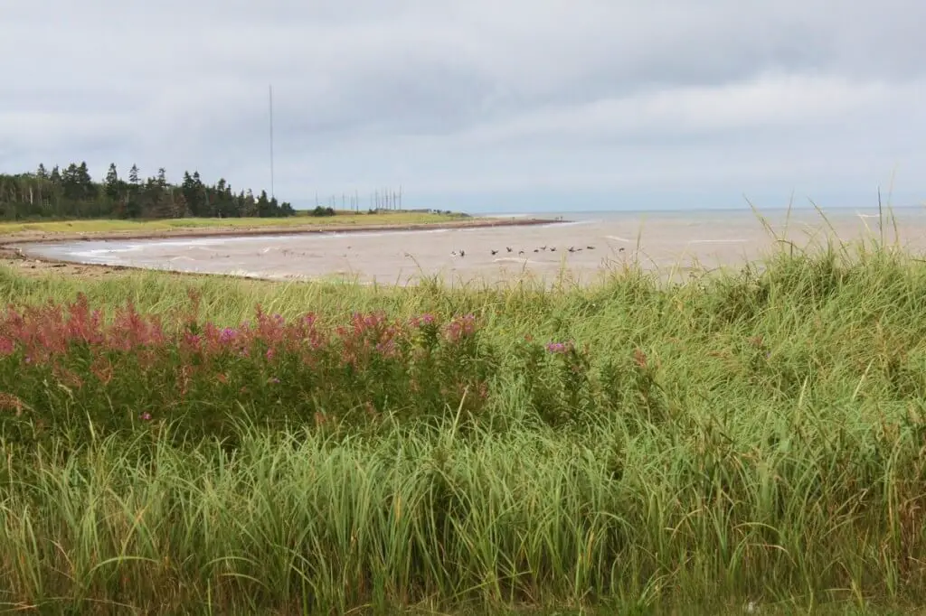 Lonely island in the Atlantic Ocean - northeast corner of New Brunswick