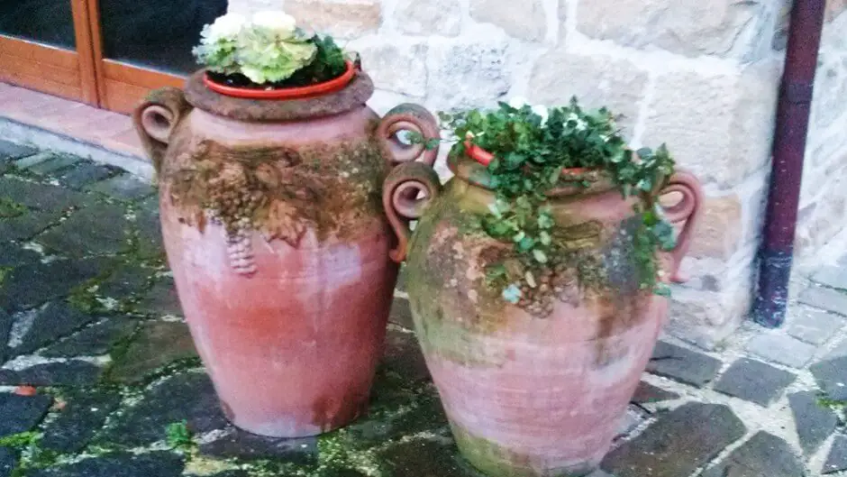 Terracotta amphorae - hotels in the Marche region