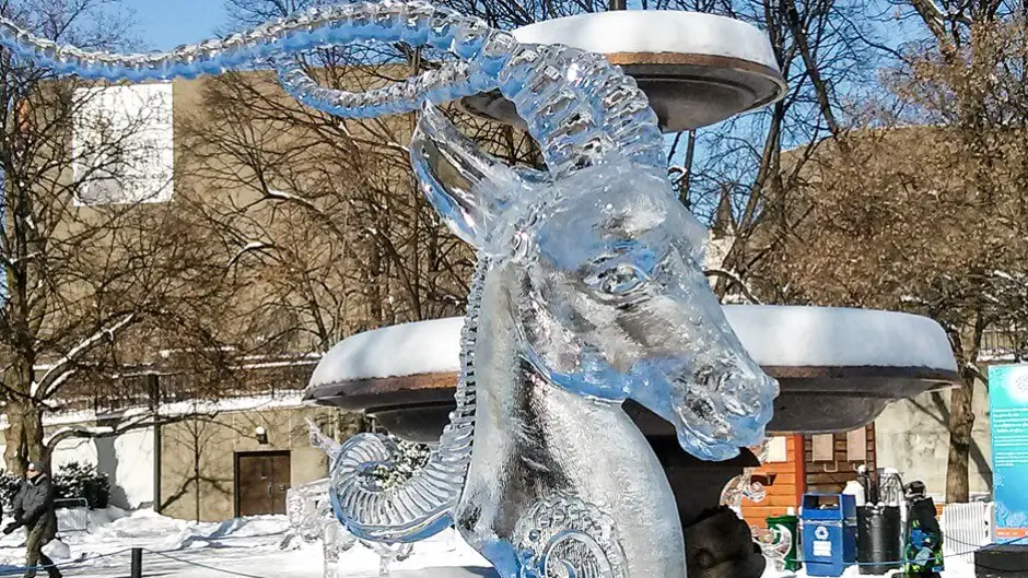 Kudu in ice - well-located hotels for the Winterlude in Ottawa