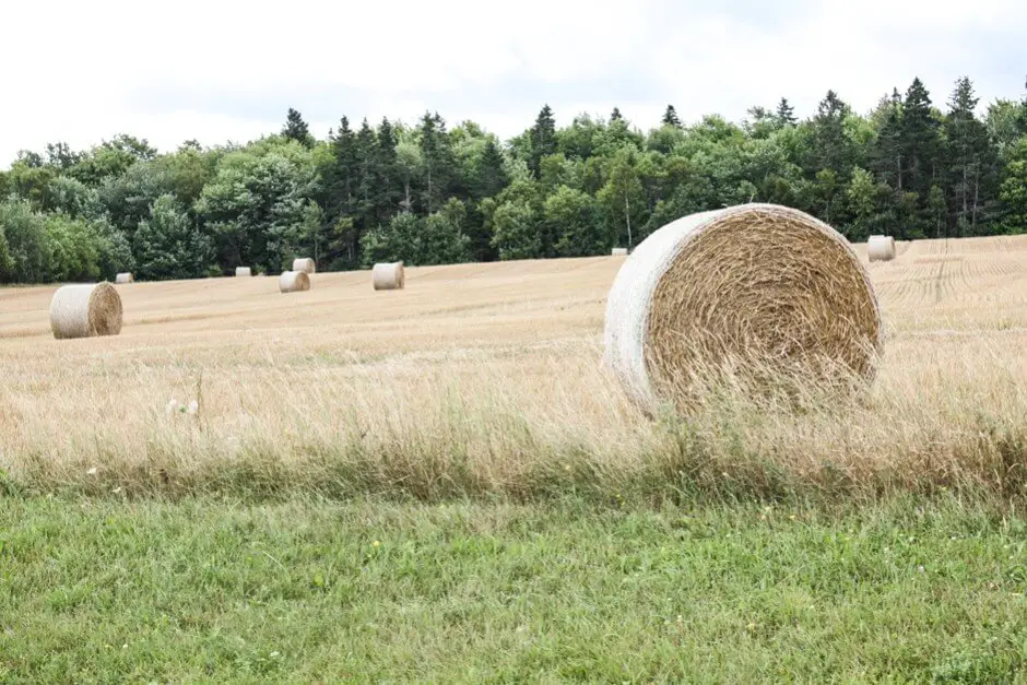 Through the rural Prince Edward Island