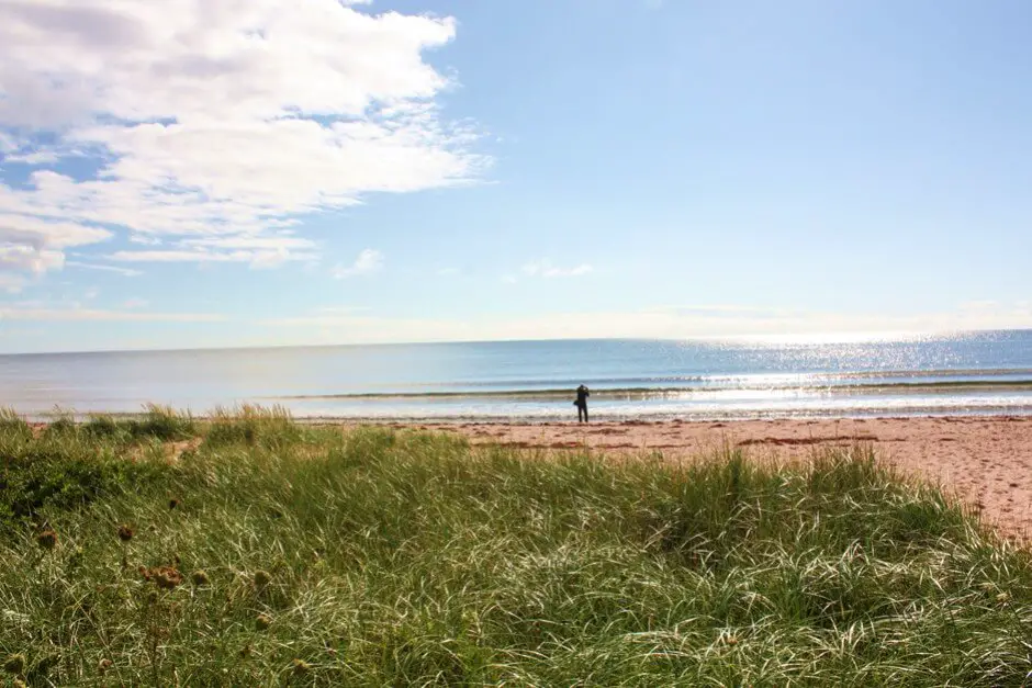 Petar on the beach of Panmure Island