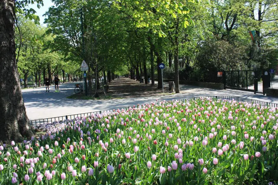 Main avenue in the Green Prater