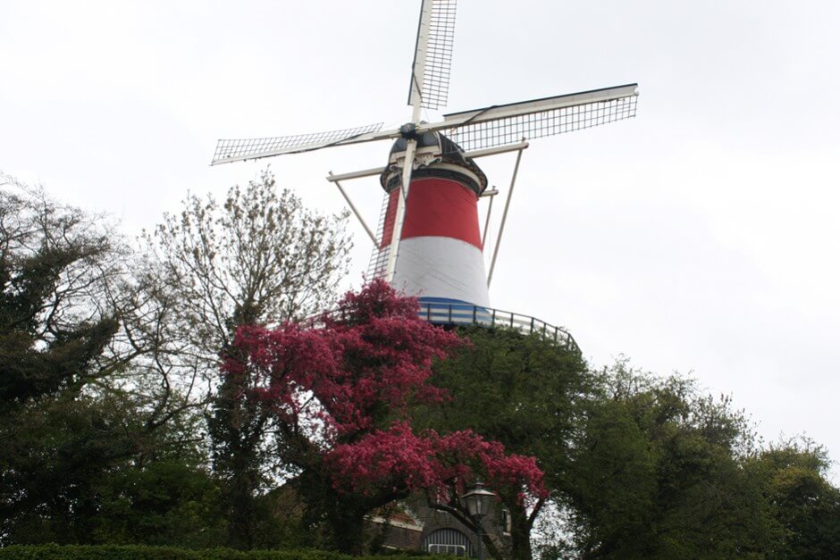 Geschmückt mit der holländischen Flagge für den Königstag