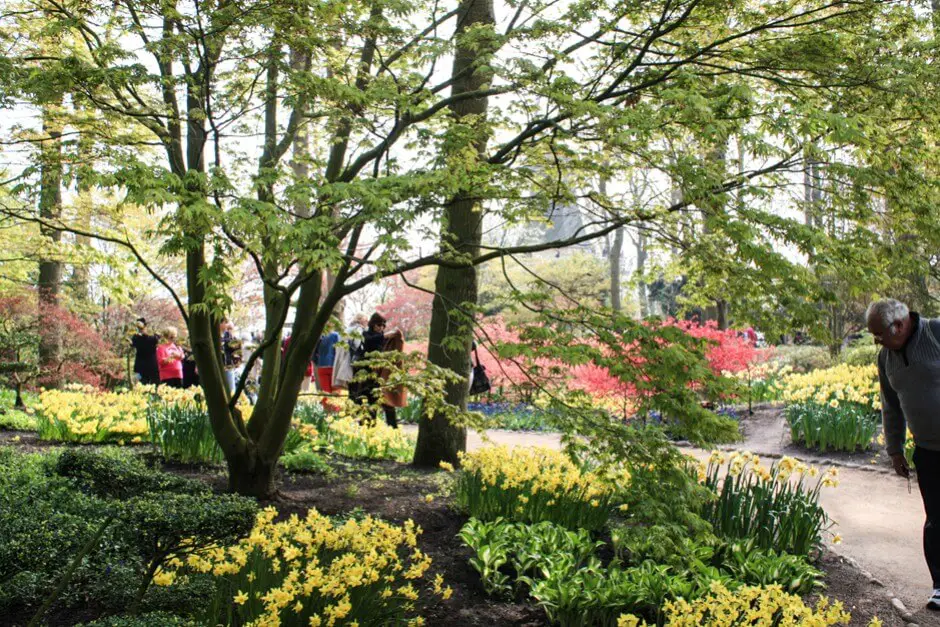 In the Japanese Garden in Keukenhof Holland