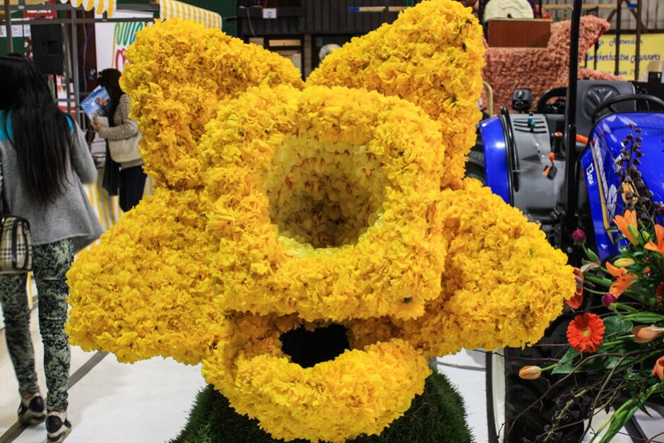 This is how oversized daffodils are created for the Bollenstreek flower parade