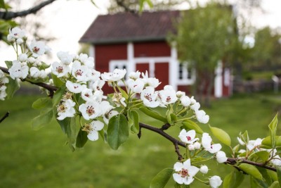 Smaland Sweden in spring
