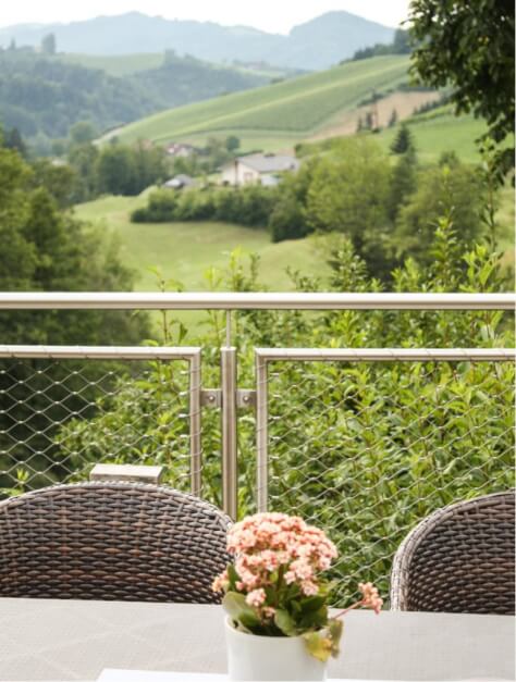 Ausblick vom Balkon im Weingut Zimmer - Weinberge bis zum Horizont