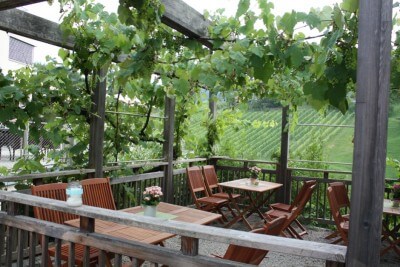 Popular - the grape arbor in the estate Pössnitzberg