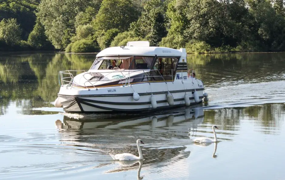 Do not be afraid of houseboats - the swans on the Saone