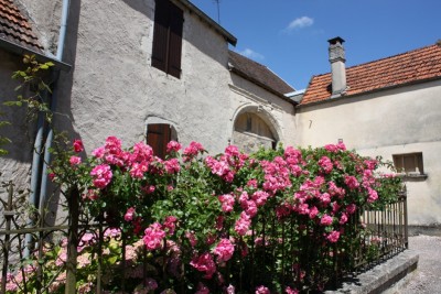 Ray sur Saone - Rosen an verwitterten Fassaden