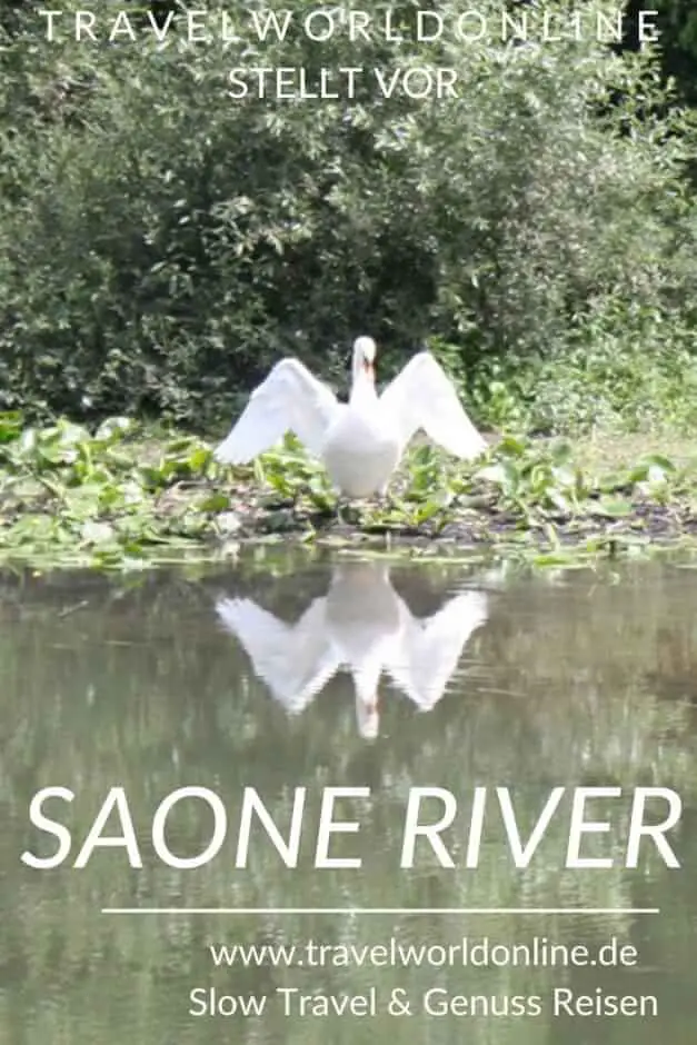 Enjoy nature on the Saone River