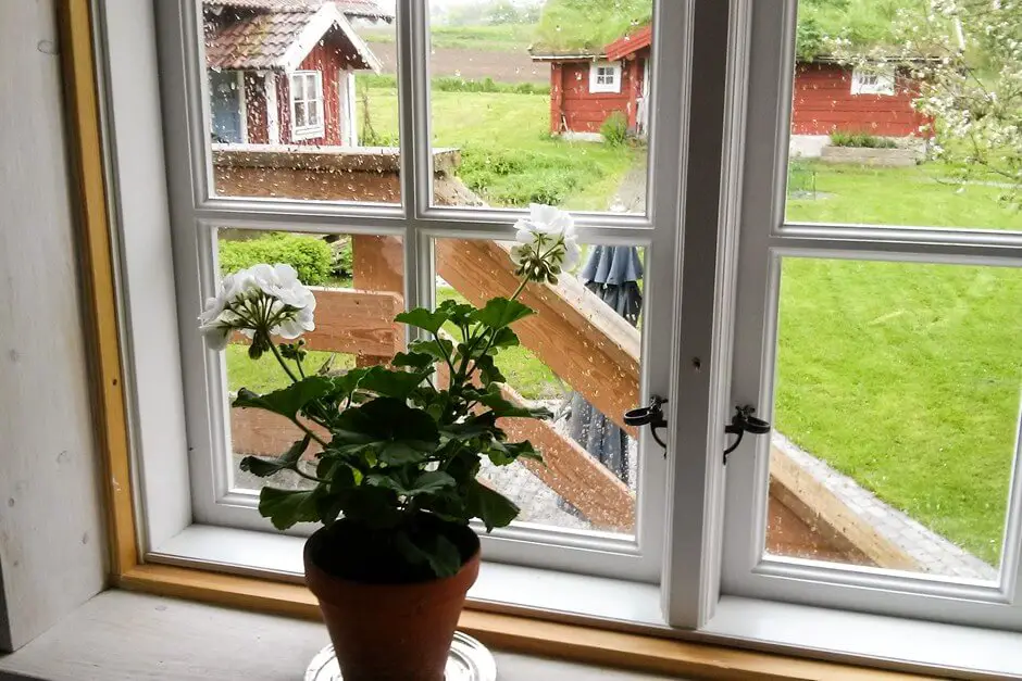 Käsekuchen auf Smaländer Art schmeckt bei Regenwetter