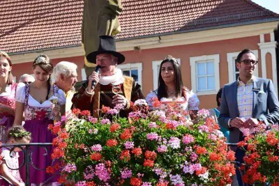 What to drink in Volkach - The Volkacher councilor opens the grape harvest