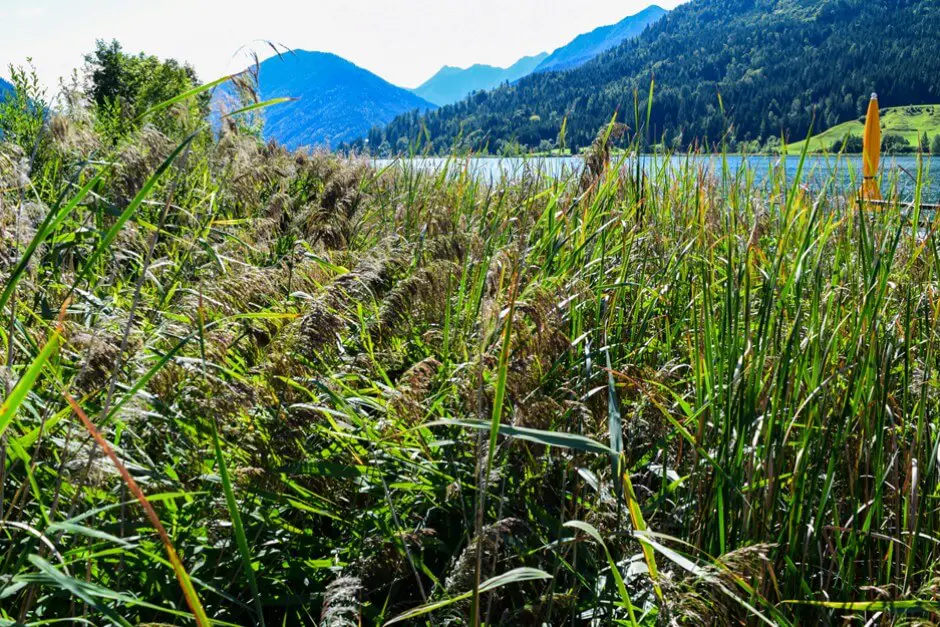 Im Seegarten des Seehotel Enzian am Weissensee