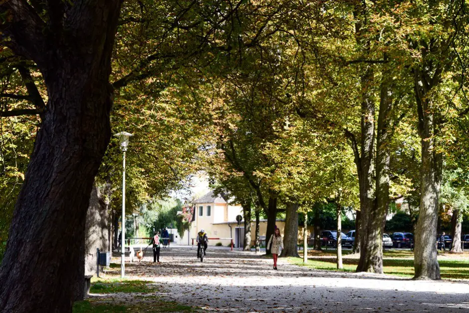 Allee an der Isar in Landshut