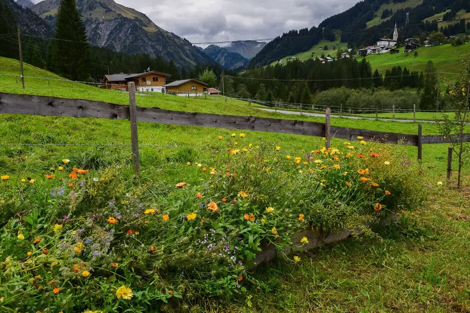 Ein Garten im Kleinwalsertal