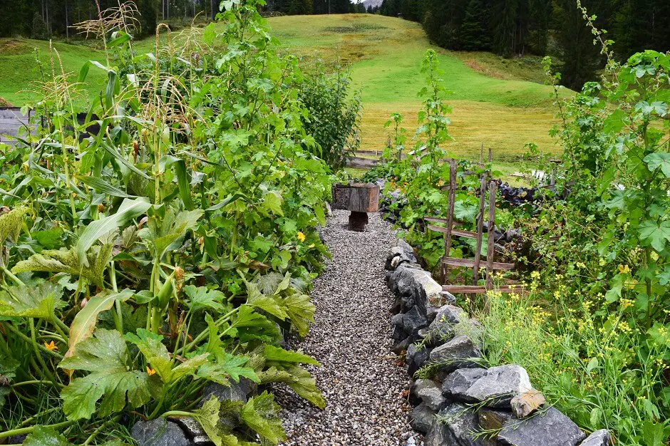Ein Garten im Kleinwalsertal