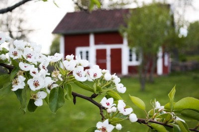 Die schönsten Bilder 2015 Asens By in Schweden