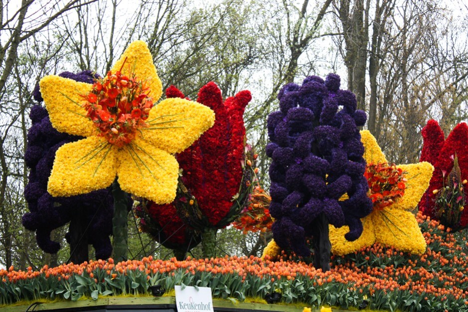 The most beautiful pictures 2015 flower corso in Bollenstreek