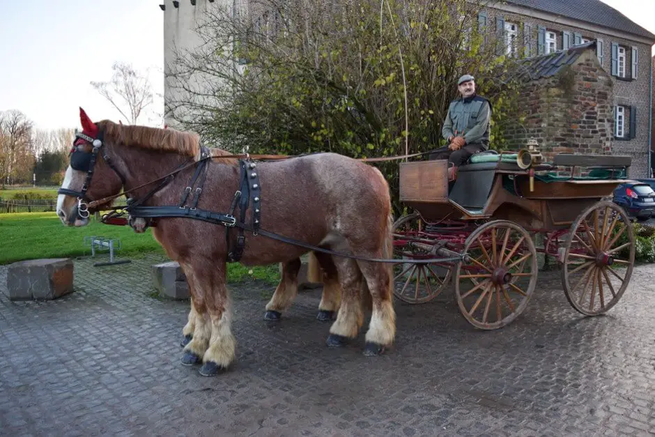 Herr Reuter vor unserer Kutschfahrt durch die Rheinauen