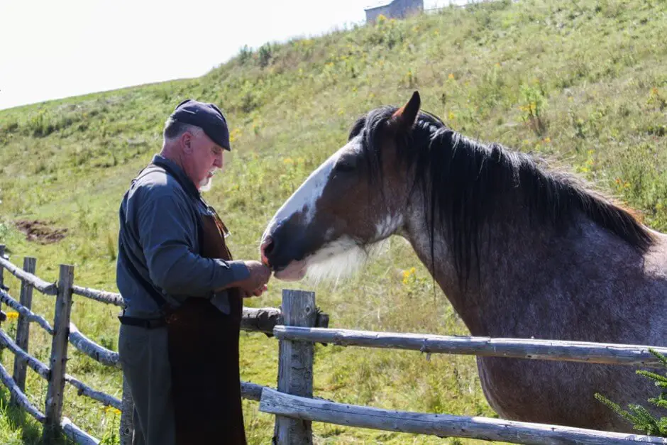 This is love from the Scots in Nova Scotia