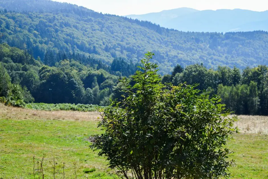 Bayerischer Wald Wo kann man gut wandern in Deutschland - Wanderziele Deutschland