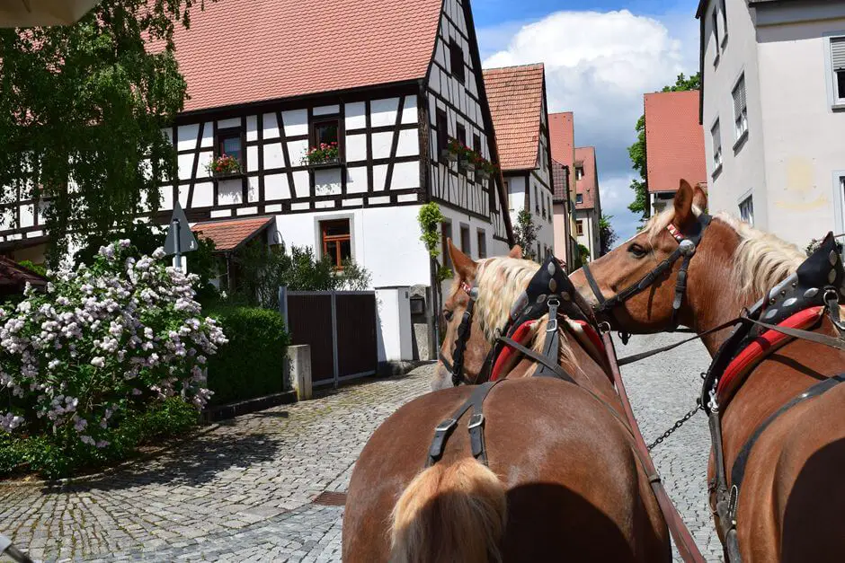 Slow travel by horse-drawn carriage