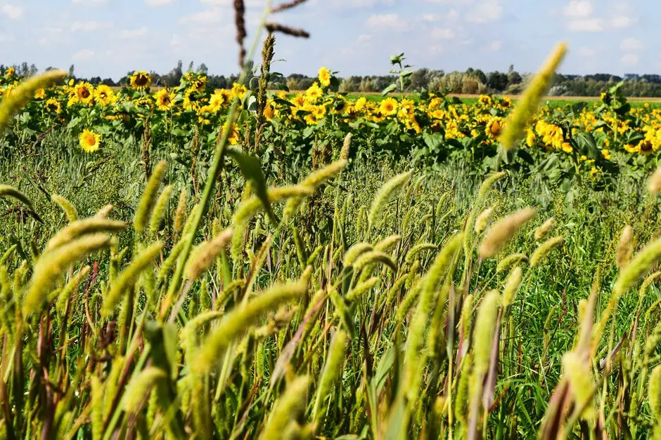 Innere Ruhe finden in Bayern