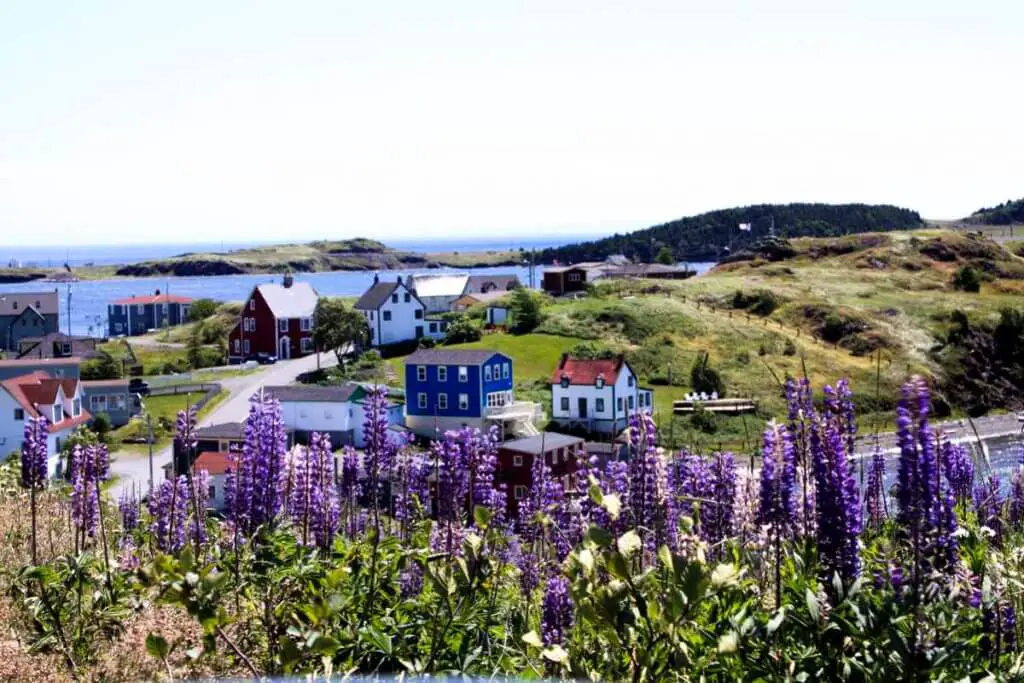 Trinity in Newfoundland