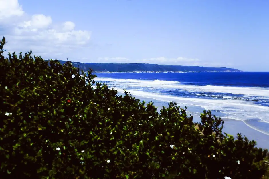 Ausblick auf den Strand von Wilderness