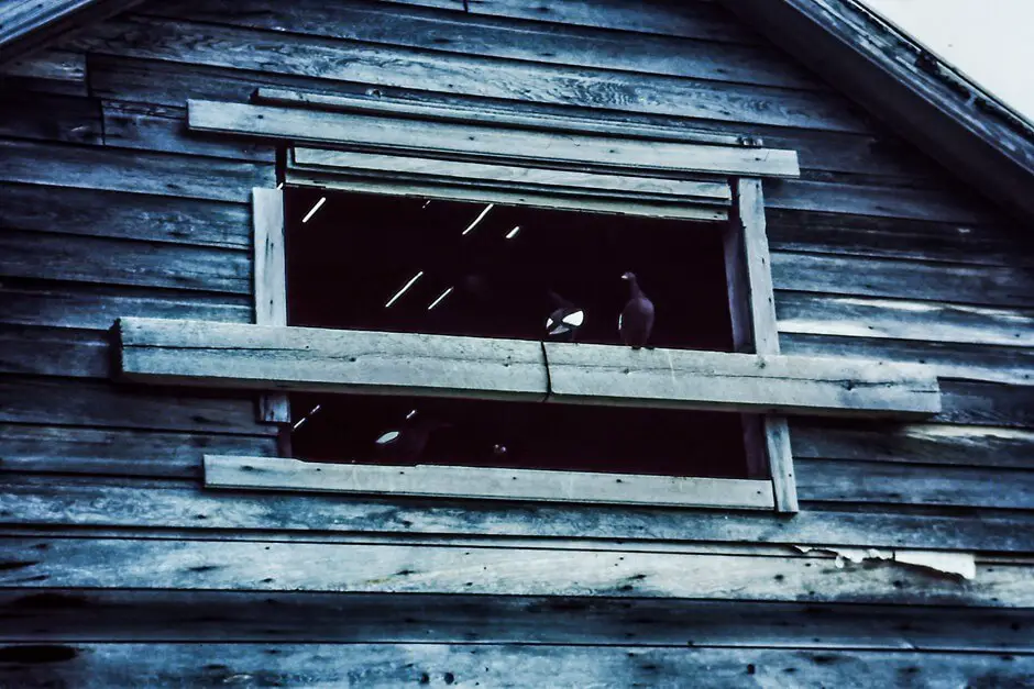 Fenster in einem Walfängerschuppen am Eismeer